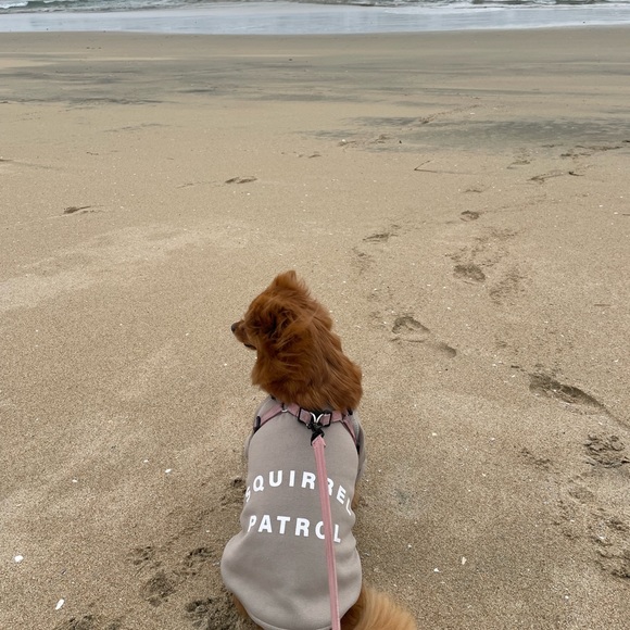 Meet your Posher, Michelle - Picture 3 of 6